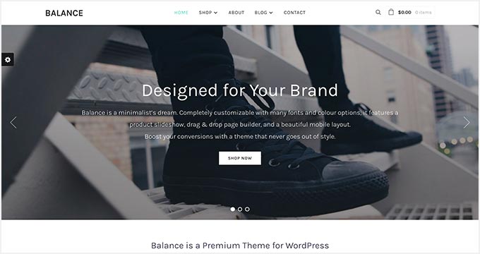 balance WordPress Theme